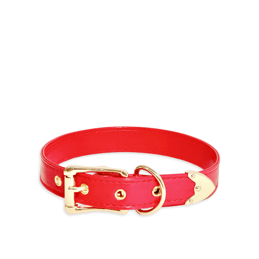 Classic Red Leather Collar - Master Love