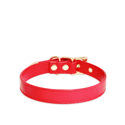 Classic Red Leather Collar - Master Love