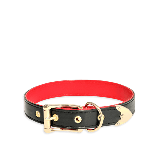 Classic Black and Red Leather Collar - Master Love