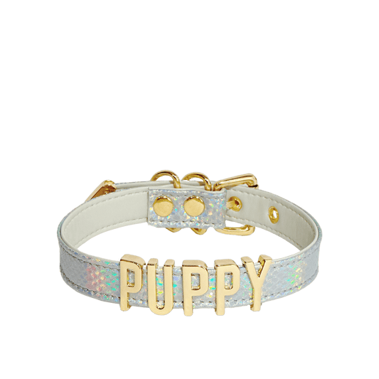 Iridescent Silver Leather Collar with Letters - Master Love