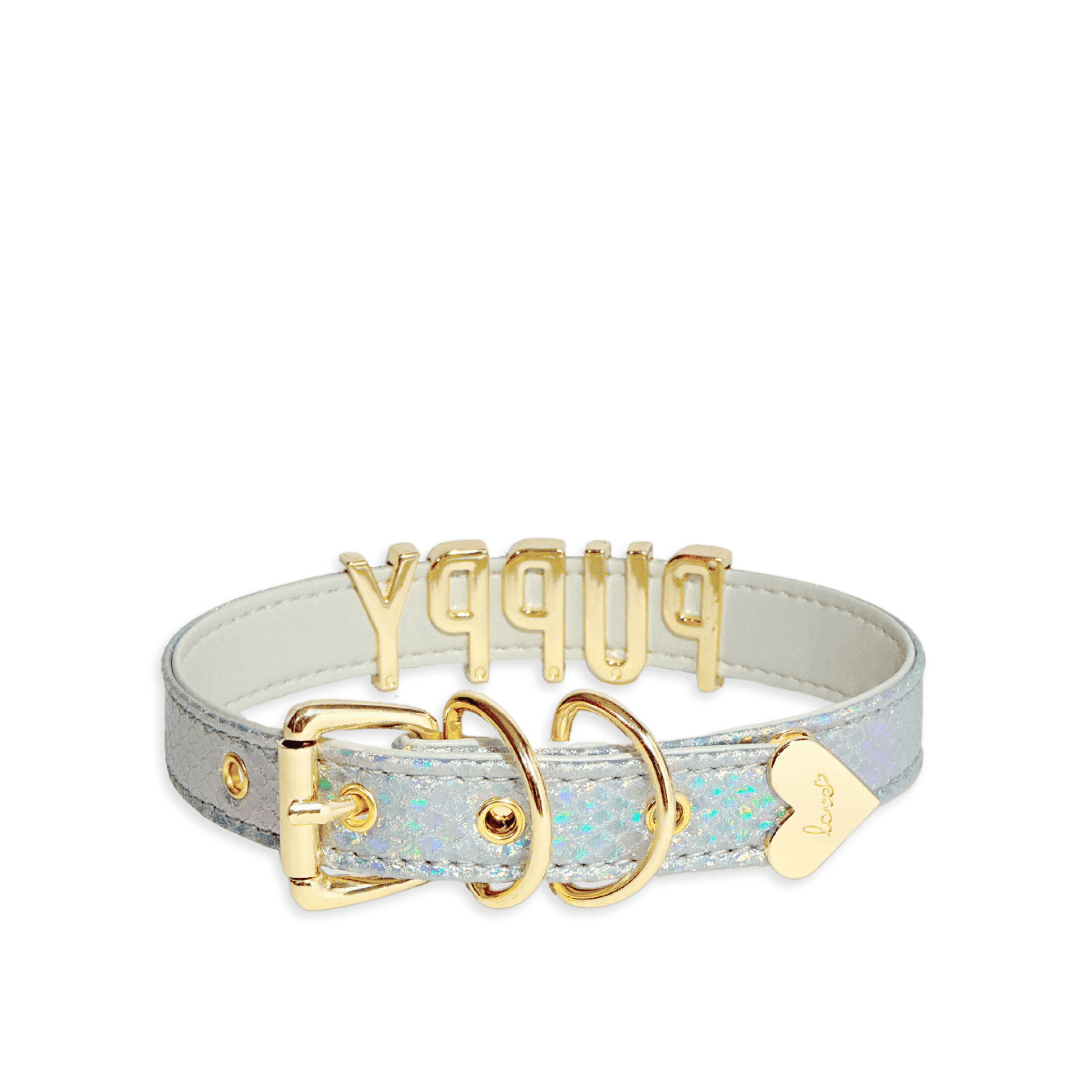 Iridescent Silver Leather Collar with Letters - Master Love