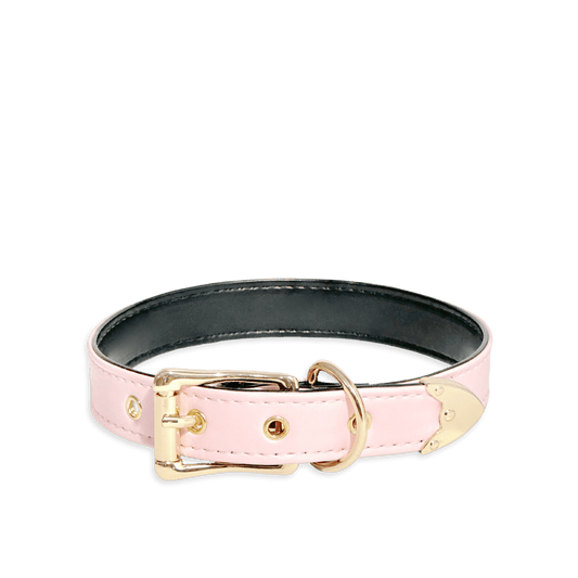 Classic Pink and Black Leather Collar - Master Love
