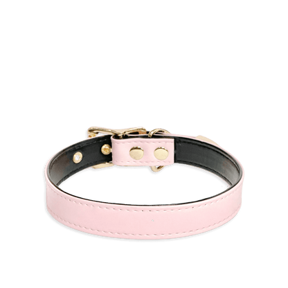 Classic Pink and Black Leather Collar - Master Love