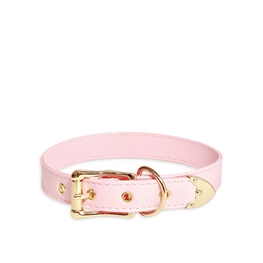 Classic Pink Leather Collar - Master Love