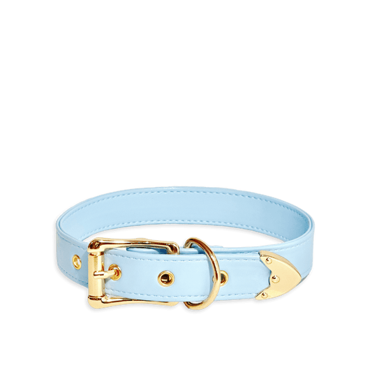 Classic Sky Blue Leather Collar - Master Love