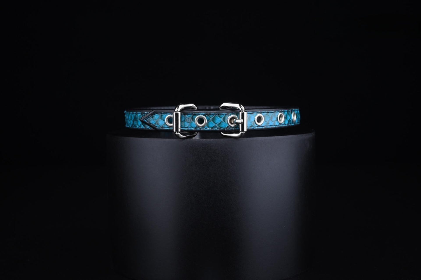 Starship Blue Leather Collar - Master Love Collection