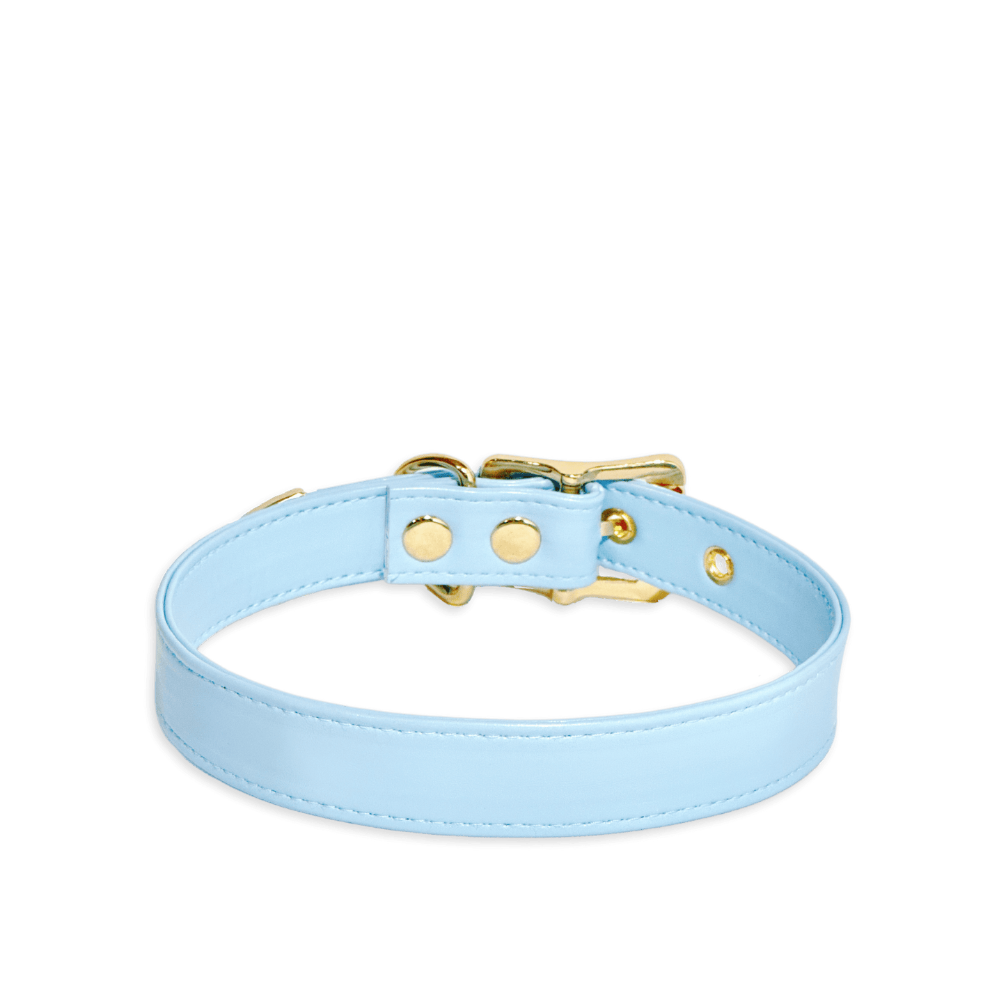 Classic Sky Blue Leather Collar - Master Love