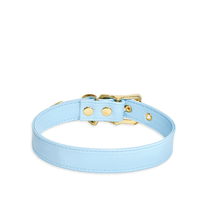 Classic Sky Blue Leather Collar - Master Love