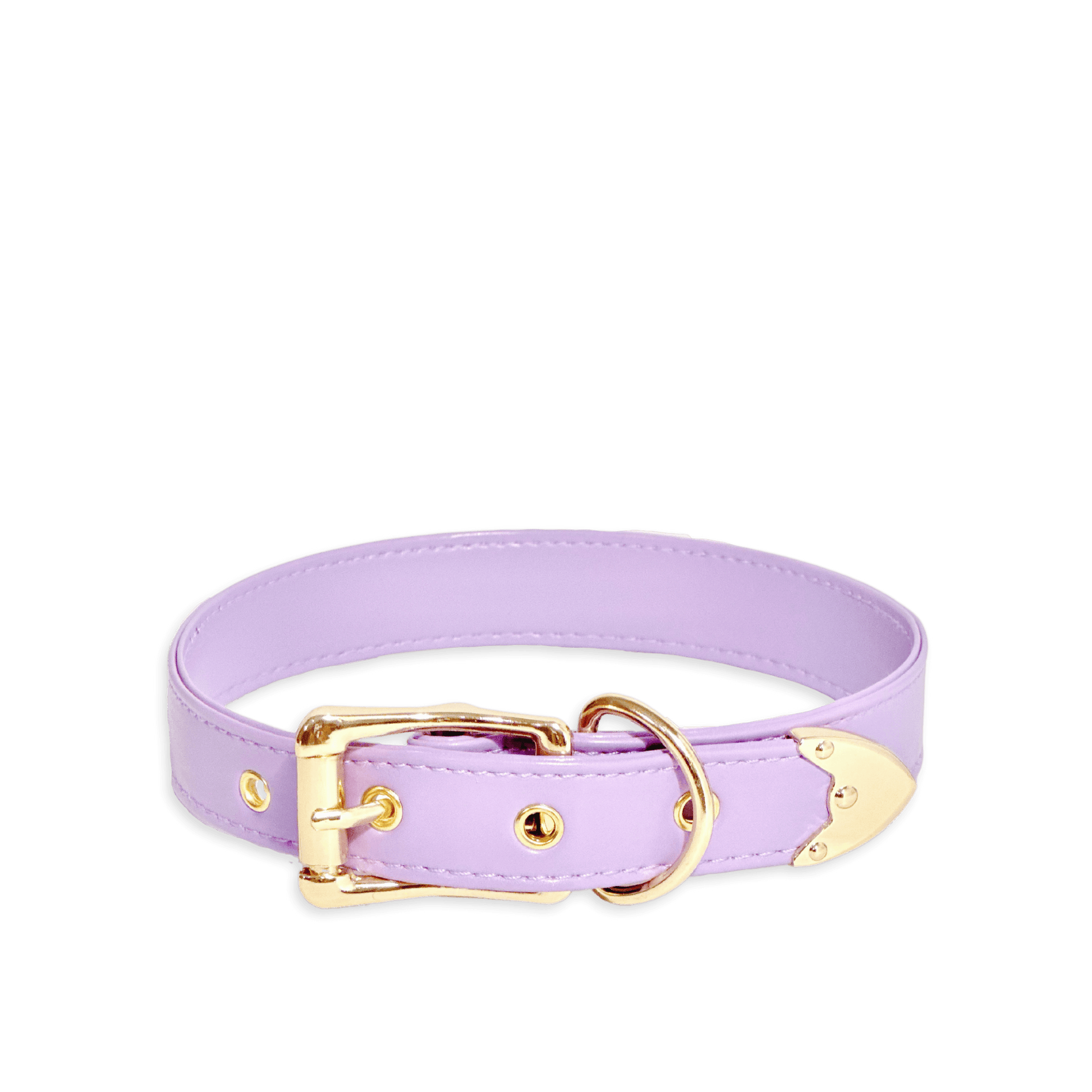 Classic Purple Leather Collar - Master Love