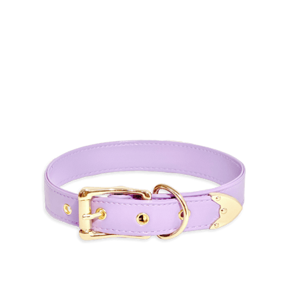 Classic Purple Leather Collar - Master Love